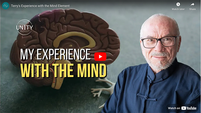 Terry's Experience with the Mind Element